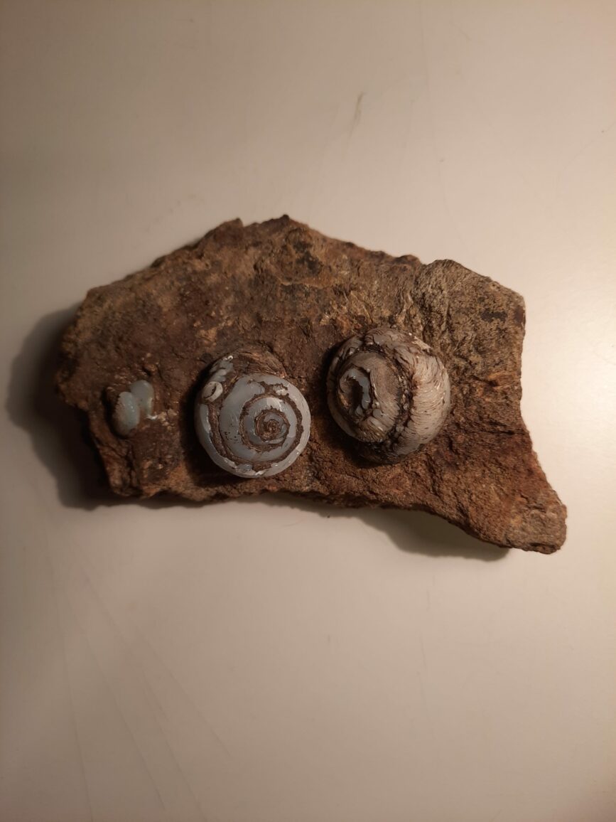 Helix Lussatite
