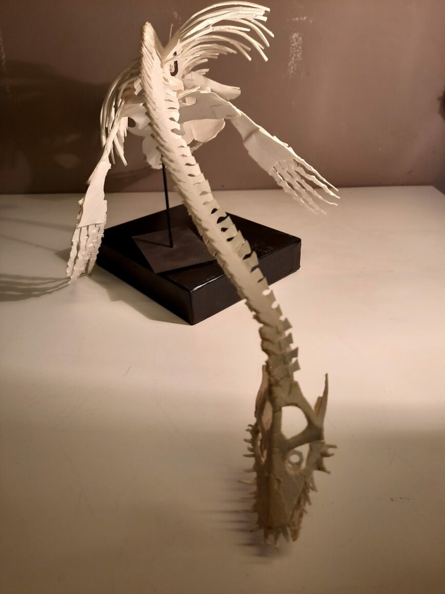 Origami d'Elasmosaure – Image 2