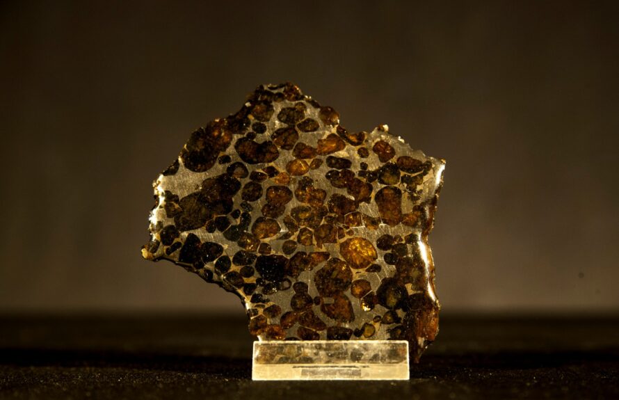 Météorite Pallasite